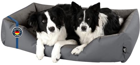BedDog Hundebett Zara Hundekissen Hundekorb mit Waschbarem Bezug | Hundematratze und Kuschelplatz für Kleine und Große Hunde, Robust Gepolstert, Sechs Größen von S bis XXXL