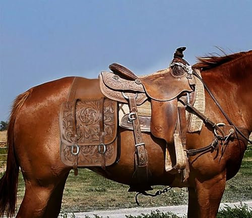 EQUIGEAR Western-Leder-Satteltasche für Pferde | Reitvergnügen Wanderritt geeignet für Reiten und Fassrennen | Satteltasche mit verstellbarem Riemen GRÖSSE: 10X10X3 SA-33
