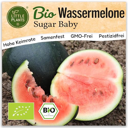 Little Plants BIO Wassermelone Samen Sugar Baby 10 Wassermelonesamen Obstsamen Samenfest für Obstgarten Obst Samen für Balkon, Hochbeet und Garten