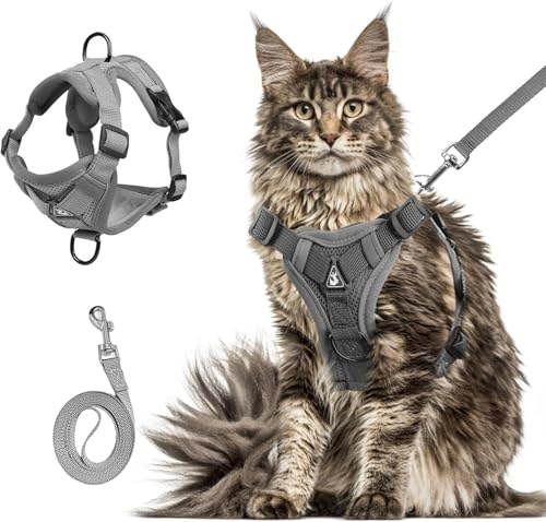 Best Pet Supplies Sommer-Brustgeschirr und Leine, unterstützt kleine, mittelgroße und große Katzen, Kätzchen zum Spazierengehen, Anti-Ausbruch, verstellbar, weiches Netzgewebe für Katzen (XL: 7,5–10