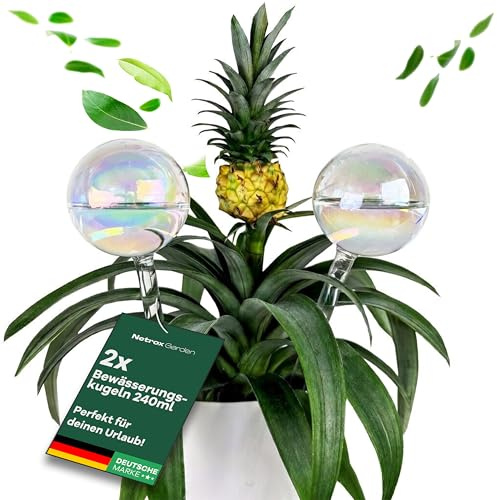 Netrox Lot de 2 boules d'arrosage en verre 2X 240ml – Arrosage automatique pour plantes, fleurs et jardin – Idéal en vacances – Arrosage, système d'arrosage en pot, distributeur d'eau