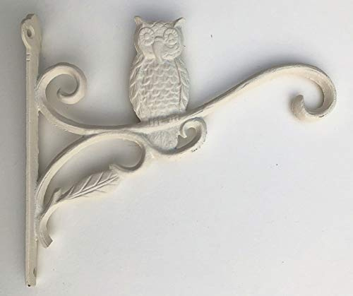 spring life Cast Iron Ornate Owl Hanging Flower Basket Bracket Hook in 3 Colours (Antique White)