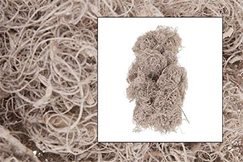 Schreiber Deko Curly Moos/White Washed / 500 Gramm