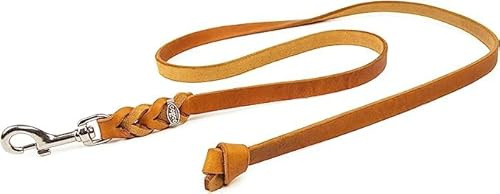 Hundeleine Leder 10m kleine Hunde – Schleppleine [ohne Handschlaufe] Lederleine Hund geflochten leicht – Führleine & Trainingsleine aus robustem Rindsleder mit Chrom Karabiner, Dog Leash 10mm, Cognac
