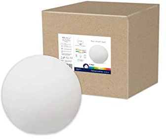 tint Smarte Outdoor LED Leuchtkugel Calluna Ø 30cm, Gartenkugel, Kugelleuchte, Farbwechsel RGB, E27 Fassung, ip44 für Außen, Zigbee, funktioniert mit Alexa, Optik: weiß