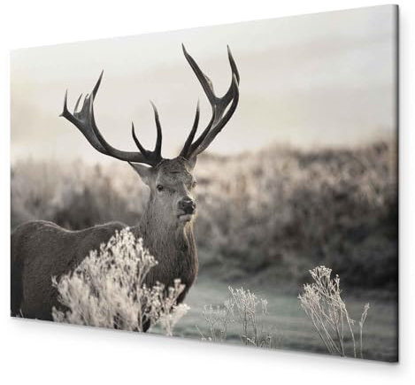 murando - Wandbilder XXL Hirsch 120x80 cm 1 tlg - Wand Deko Vlies Leinwand Bilder Groß Wanddeko Wohnzimmer Schlafzimmer Kunstdrucke - Tiere Natur g-B-0054-b-d