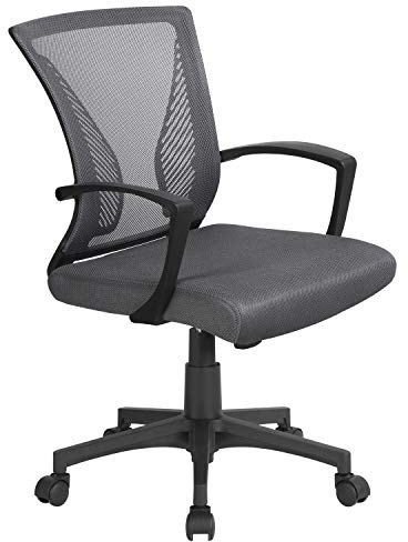 Yaheetech Dark Grey Office Executive Computer Chair Ergonomic Swivel Chair with Comfy Lumbar Back Support and Wheels for Home Students Study