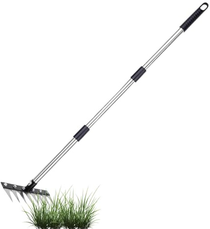 Baoqifong Rastrello da Giardino - 8 Denti in Acciaio Inossidabile per Diserbo e Arieggiamento,Attrezzo per Cura Giardino - per Agricoltura Paesaggio Fattoria Prato All'aperto Cortile
