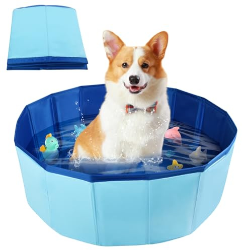 LQTSLFM Piscine pour Chat, Piscine Chien, Piscines Pliable pour Chat, Pliable Piscines Chats & Chien Petits et Grands, Pataugeoire Pliable pour Bain, Jeux d'eau et Rangement (60x20cm-Bleu)