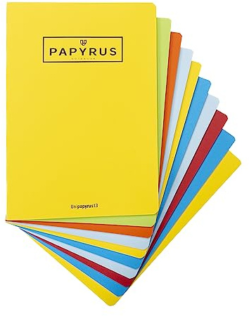 Unipapel 98430599 Notizbücher mit Heftklammern, A5+, 48 Blatt, kariert 4 x 4, 90 g/m², geprägter Deckel, Unipapyrus 13, zufällige Farbauswahl