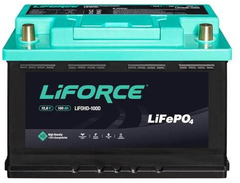 LiFORCE 100Ah LiFePO4 12V Deep-Cycle-Versorgerbatterie, Solarbatterie für Camping, Boote und Windkraft
