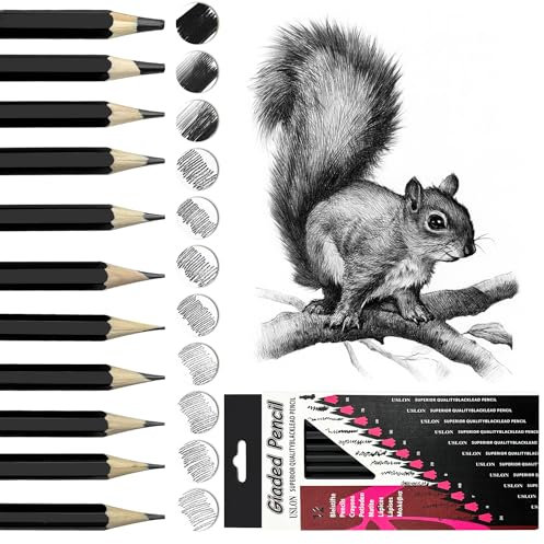 Wonwood_direct Bleistift Set, 12-Teiliges Zeichenstifte, Bleistifte Zeichnen von 2H bis 8B Zeichenset mit Graphitstifte für Künstler, Kinder, Erwachsene, Zeichnungen, Skizzieren Liebhaberin (Typ 2)