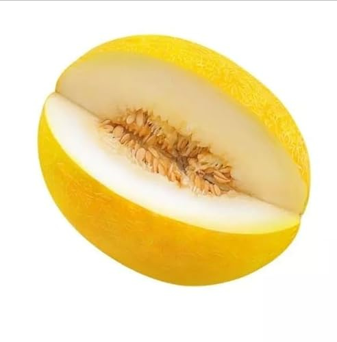 30 Semi di Melone Giallo Liscio, Frutto Rinfrescante e Nutriente ricco di vitamine e minerali