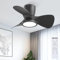 Ateroll Ventilador de Techo con Luz, Ø61CM, 3CCT (3000K-4000K-5000K), 1500LM Ventilador de Techo con Mando a Distancia, 4 Velocidades, Temporizador, Apto para Salón, Dormitorio (Negro)