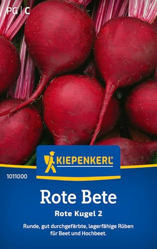Kiepenkerl Rote Betesamen Rote Kugel 2 1011000, Gemüsesaat | Lagerfähige Rüben, Inhalt für 6-8 laufende Meter