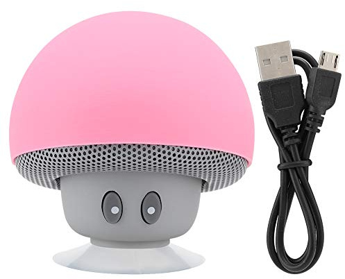 SustVita Mini Enceinte Bluetooth, Haut-Parleur Portable sans Fil avec Chargement USB, Caisson de Basses et Ventouse pour Enfants et Filles