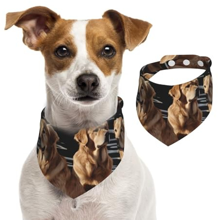 Sommerhalstücher für Hunde, Golden Retriever, Hundehalstücher, waschbar, verstellbar, dreieckig, niedlich, für mittelgroße und große Hunde, Welpen und Katzen, klein