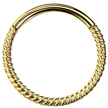 Piercingfaktor Septum Nasen Piercing Clicker Segment Ohr Ring Scharnier geflochten