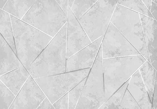 decomonkey Premium Fototapete Abstrakt Geometrisch Stein 350x256 cm XXL Design Tapete Fototapeten Vlies Tapeten Wandtapete Moderne Wand Schlafzimmer Wohnzimmer Steinwand Betonoptik Grau Silber