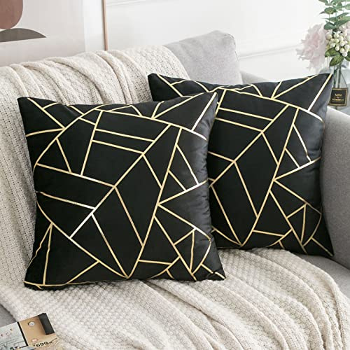 ETOLISHOP Cuscini 45x45 Cuscini per Divani Moderni Cuscino in Velluto Nero Copre un Set di 2 18 Pollici Fodera Cuscino Divani da Soggiorno
