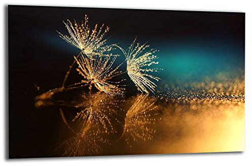 QTA | Plaque de recouvrement de cuisinière 80 x 52 cm 1 pièce en verre pour cuisinières électriques à induction Protection anti-éclaboussures Planche à découper Fleurs