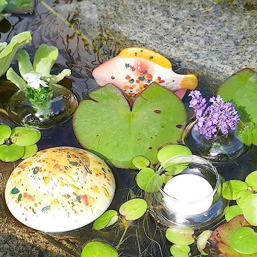 Storm's Gartenzaubereien Miniteich Set Schwimmlinse Schwimmfisch in Gelb mit Schwimmschale und Blütenringen