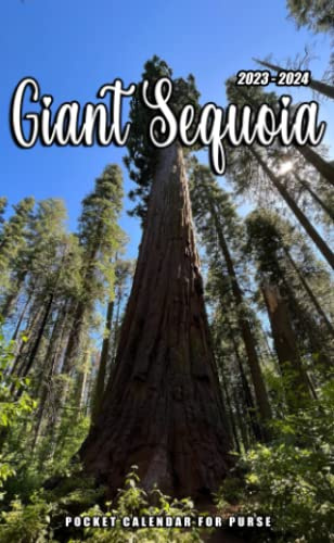 2023-2024 Giant Sequoia Pocket Calendar: 2 Year Monthly Planner With Giant Sequoia 24 Months Calendar For Purse Vitally Need Small Size 4 x 6.5 | ... Diary With Password Logs & Note Sections