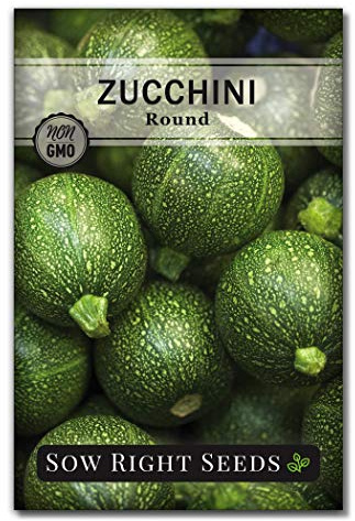 Sow Right Seeds - Round Zucchini Seed for Planting - Non-GMO Heirloom Packet with Instructions to Plant a Home Vegetable Garden - Unique Globe Squash - Summer Vining Variety (1)