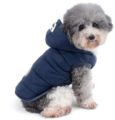 Ranphy Fleece-Lined Padded Hoodie Coat for Small Dogs, Blue, M | Cotton-Padded Fabric, Fleece Lining, Winter Walks, French Bulldog, Chihuahua, Small Medium Dogs, Hooded Puppy Jacket