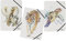 PAGNA 21627-25 Set Gummizugmappe A4 Save me No.3 sortiert 3 Stück