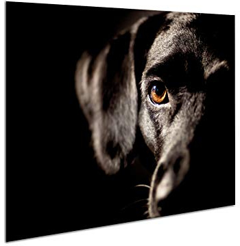 SemUp - Panneau de protection en céramique pour plaque à induction électrique - 60 x 52 cm - Grande planche à découper - Verre trempé - Grande planche à découper - Découpe murale de cuisine