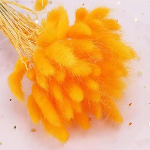 Fleurs séchées de queues de lapin,120 pièces 45 cm herbe de pampa séchée blanche, queues de lapin queues de lapin, fleurs séchées pour décoration intérieure bohème maison décor de mariage orange