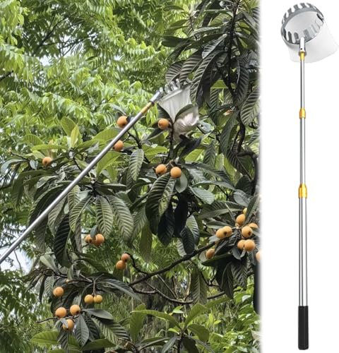 AMUFJJ apfelpflücker obstpflücker Obstpflückerstange mit Korb-Erntetasche – verstellbare Länge, Orangen/Mangos/Guaven/Avocados/Apfelfänger, 10 7 6 5 4 3 2 m Werkzeug für Pflücken(600cm/19.7ft)