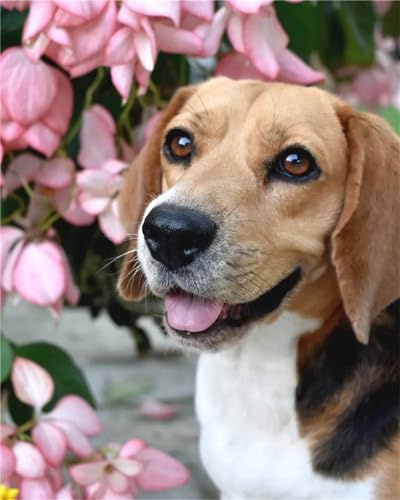 Znnhtyj Diamond Painting Beagles Diamond Painting Bilder Erwachsene und Kinder Malen Nach Zahlen Crystal Arts Craft Cross Stickerei 5D Diamant Painting für Wand Dekor Diamant Malerei 80x120cm