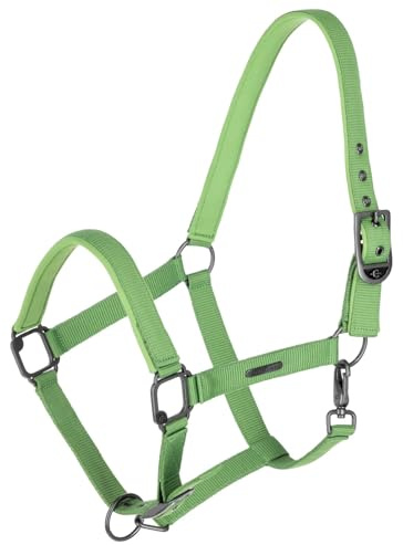 Covalliero Halfter Dornschnalle Warmblut FS 2025 Green