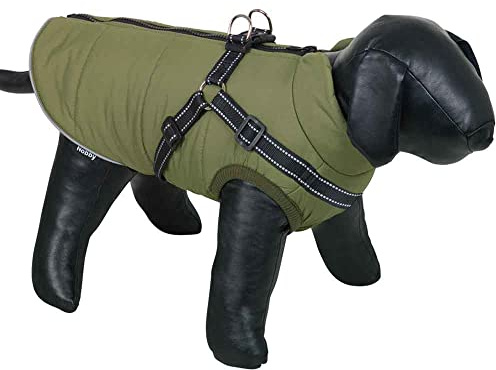 Nobby Hundemantel SALUS 2 in 1, grün, 20 cm, 1 Stück