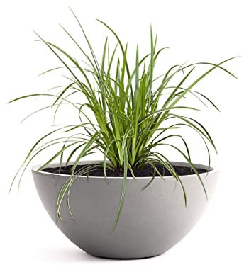 Pflanzwerk® Fioriera Vaso da Fiori Bowl Ø 28cm Grigio *Resistente al Gelo* *Europea di qualità* *Protezione UV*