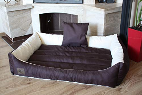 Odol-Plu XXL - Hundebett - Hundekissen - Hundesofa mit Wendekissen (Größe und Farbe wählbar) (120x90 braun-beige)