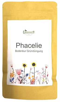 Phacelie Samen Bienenfreund Phacelia tanacetifolia 100 Gramm für 35 qm Bodenkur Bienenweide Gründünger