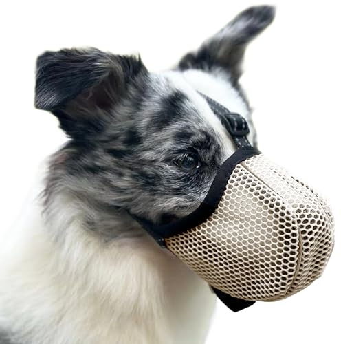 Maulkorb für Große Hunde, Prevent Kauen/Fressen/Beißen Hunde Maulkorb, Atmungsaktiv Reflektierende Einstellbare Maulkorb Mittlere Hund (Beige, S)