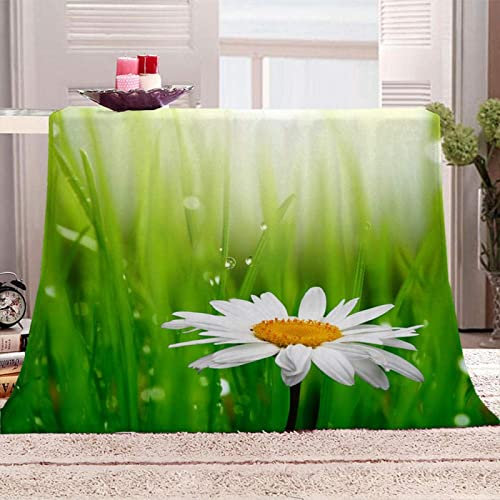 SJSXWQN Kuscheldecke GrüNe Chrysantheme Kuscheldecke Flauschig für Couch und Bett Weich Warme Mikrofaser Wohndecke Fleecedecke als Tagesdecke Sofadecke Couchdecke - 150x200 cm