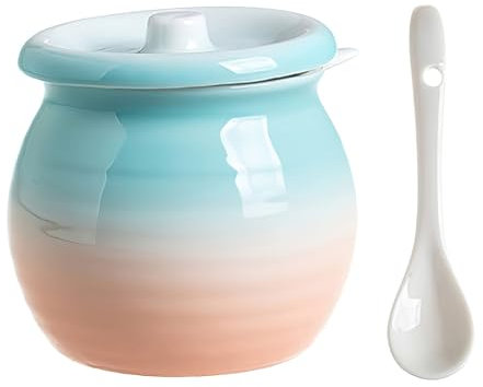 auons Azucarero de cerámica con tapa y cuchara, tarro de porcelana para sal y azúcar, recipiente para condimentos, tarro de almacenamiento de condimentos de pimienta para el hogar, cocina, 300 ml,