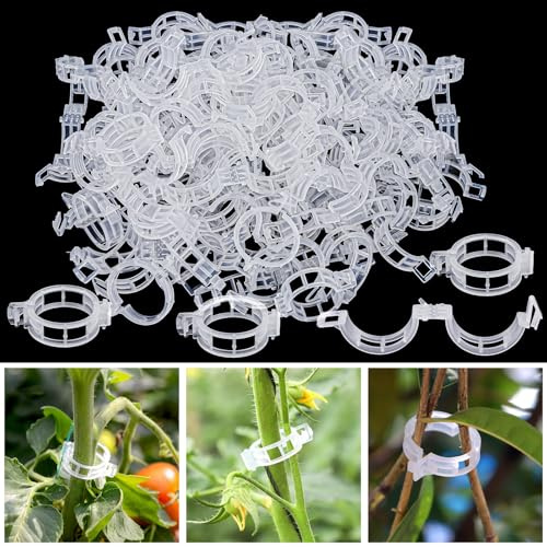 HGRGHH 300 Pcs Pflanzenclips für Kletterpflanzen, Pflanzenklammern Tomatenclips, Kunststoff Tomatenklammern für Kletterpflanzen,Wiederverwendbar, Tomaten Rankhilfe Clip für Tomaten Gurken Blumen Peas