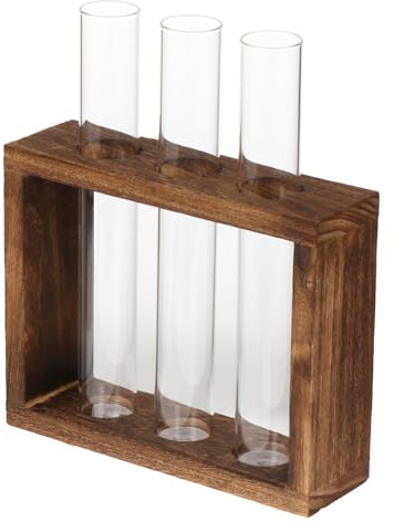 GLEAVI Vase à Essai en Verre Transparent Petit Format Support en Bois, Vase Hydroponie pour Plantation D’intérieur, Récipient Décoratif pour Plantes Aquatiques et Terrarium
