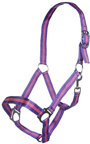 HKM Budapest grimma lila/lavendel ponny