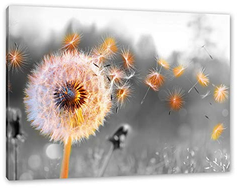 Pixxprint Nahaufnahme Pusteblume Sonnenuntergang B&W Detail, Größe: 120x80cm, Leinwandbild, fertig gespannt, Wandbild, Dekoration, Kunstdruck, kein Poster