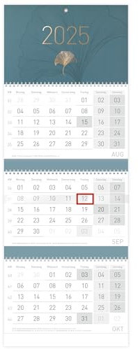 Häfft® 3-Monatskalender 2025 Wandkalender mit Datumsschieber Blue Ginkgo Bürokalender, Office-Kalender, Wandplaner mit Ferienterminen & Jahresübersicht - nachhaltig & klimafreundlich
