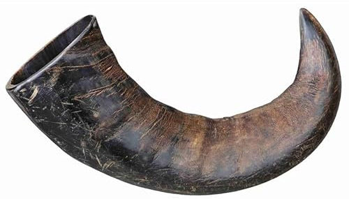 Superpet Buffalo Horn Natural Dog Treat, One-Ingredient Chew, Large 3 Pack | Lasting Dog Chew Grain-Free, High-Protein, Rawhide-Free, Suitable for Small, Medium & Large Dogs of All Pet Breeds & Sizes