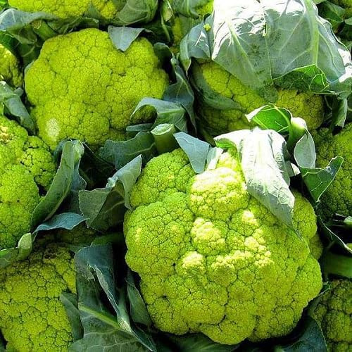 100 semillas de coliflor blanca