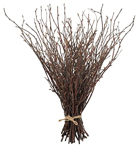 Uieke 50PCS Birch Twigs – 17 Inch Natural Dried Plants Decorative Birch Branches for DIY Crafts, Birch Sticks for Vases Wedding Arrangements Home Wreath Decor